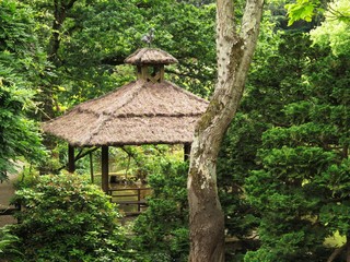Maine-et-Loire - Parc Oriental de Maulévrier - Embarcadère de l'étang