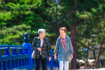 シニア女性 友達同士