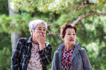 シニア女性 友達同士