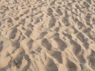 Sand brown at the beach