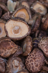 A close up of mushrooms at a farmers market