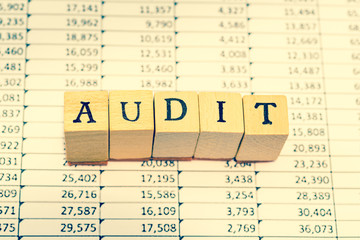AUDIT on spreadsheet