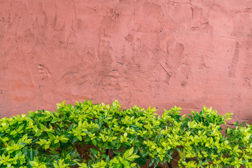 Grunge concrete wall