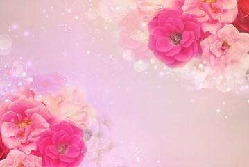 pink roses flower border and frame in soft vintage tone, valentine background and wedding card 