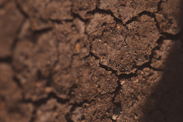 Crack soil on dry season, Global warming effect. Closeup macro artistic blurred background