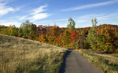 Fototapeta na wymiar Little path in colorful park, Canada