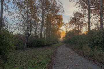 Lowell River Front Trail