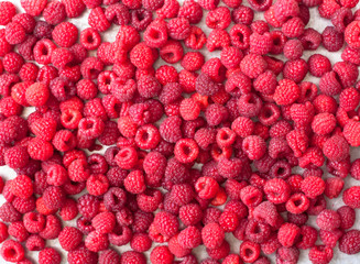Red raspberries as a background 
