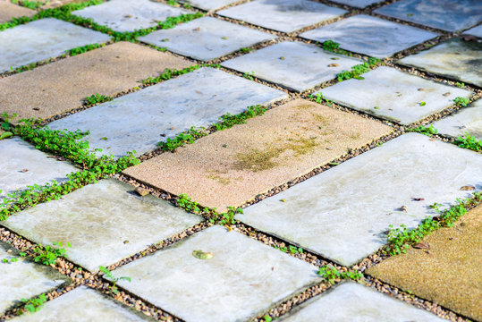Fototapeta Relax block walk path in the park with green grass.