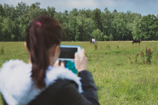 Blurred girl on foreground holding smartphone and making picture of two gorgeous horses outdoors