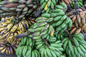 Green banana bunch