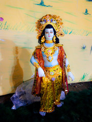 Fototapeta premium Festive Collection 