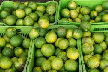 oranges on sell from Nicaragua. Farmer market