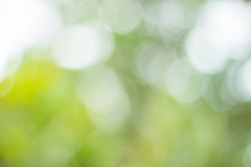 bokeh blur