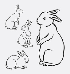 rabbit, bunny activity animal mammal hand drawing. Good use for symbol, logo, web icon, mascot, sign, sticker, or any design you want.