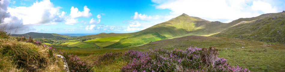 panorama montagne et bruyère