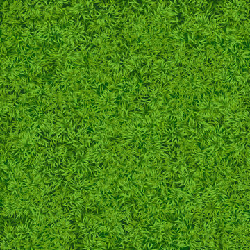 Natural realistic green grass texture background. Soccer grass top template.