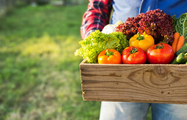 farmer holding box with fresh organic vegetables