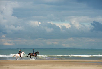 galop sur la plage hors saison
