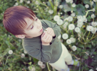Kid blowing dandelion flower