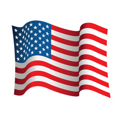 USA flag isolated on white background. Vector illustration