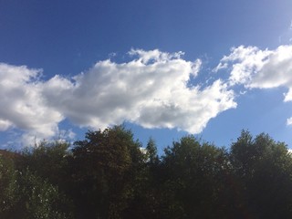 Fototapeta na wymiar Wolken am blauen Himmel über Bäumen