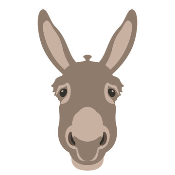 donkey head face vector illustration style Flat