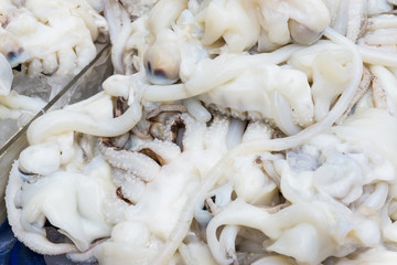 Fresh Squid on ice in market