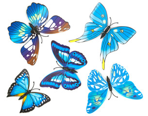 Fototapeta na wymiar blue fake butterfly isolated