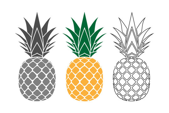 Pineapple with leaf icons set. Tropical fruits isolated on white background. Symbol of food, sweet, exotic summer, vitamin, healthy. Nature logo. Flat concept. Design element Vector illustration
