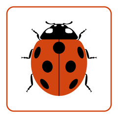 Fototapeta premium Ladybug small icon. Red lady bug sign, isolated on white background. Wildlife animal design. Cute colorful ladybird. Insect cartoon beetle. Symbol of nature, spring, summer. Vector illustration