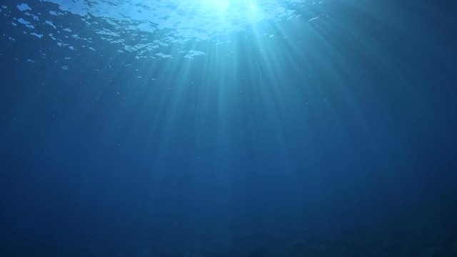 Beautiful sunrays underwater filmed while scubadiving.