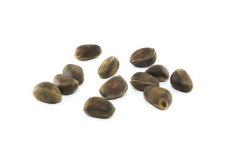 cedar pine nuts isolated on white background