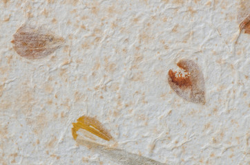 Old paper texture