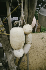 close up and selective focus group of dirty white buoy and cropp
