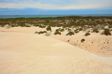 Coastal dunes in Australia