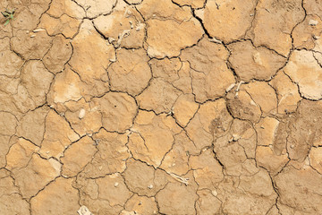 Texture of dry desert, background