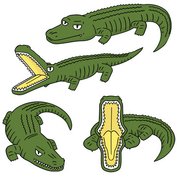 vector set of crocodile