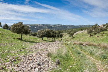 Obraz premium Dirt road in Toledo Mountains, Ciudad Real Province, Spain