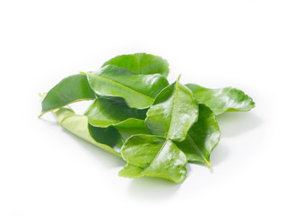 Kaffir lime leaves isolated