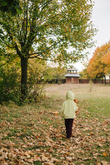 Little girl in the autumn park.with a bouquet of leaves.castle.