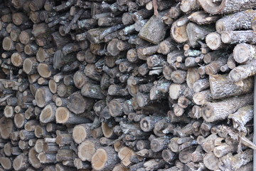 le mur de bois