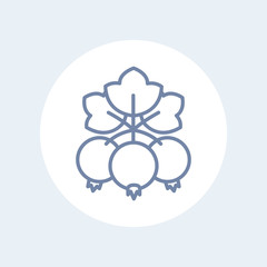 currant line icon on white