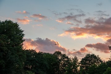 Plane landing over a park during sunset