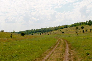 Fototapeta premium Summer landscape with meadow, trees and hills