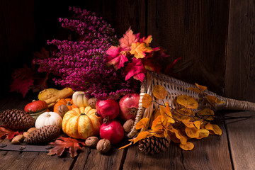 Cornucopia