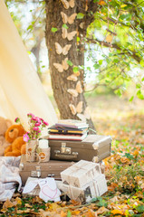 фотозона украшенная в саду, парке осенью. чемоданы, бабочки              © mokeeva