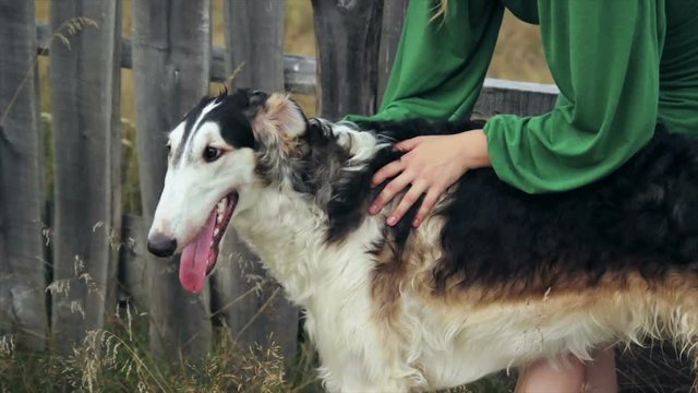 girl in green dress with two Russian greyhounds