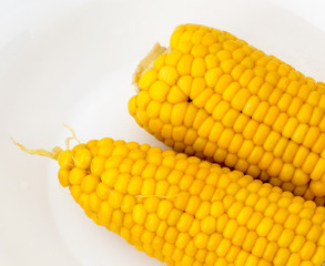 Top View of Boiled Corn in a Plate