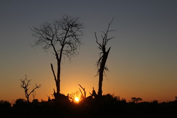 Sonnenuntergang in Botswana